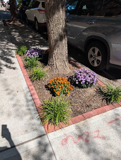 A finished tree bed with a brick border, orange and purple flowers, and lilyturf planted around the tree