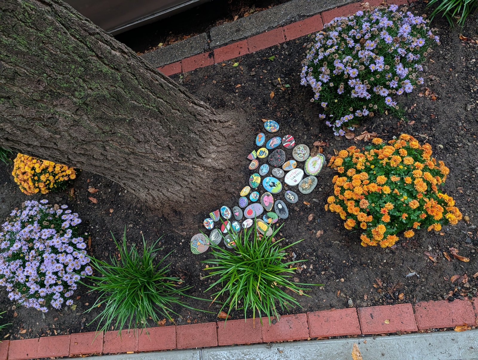 Guerrilla Gardening